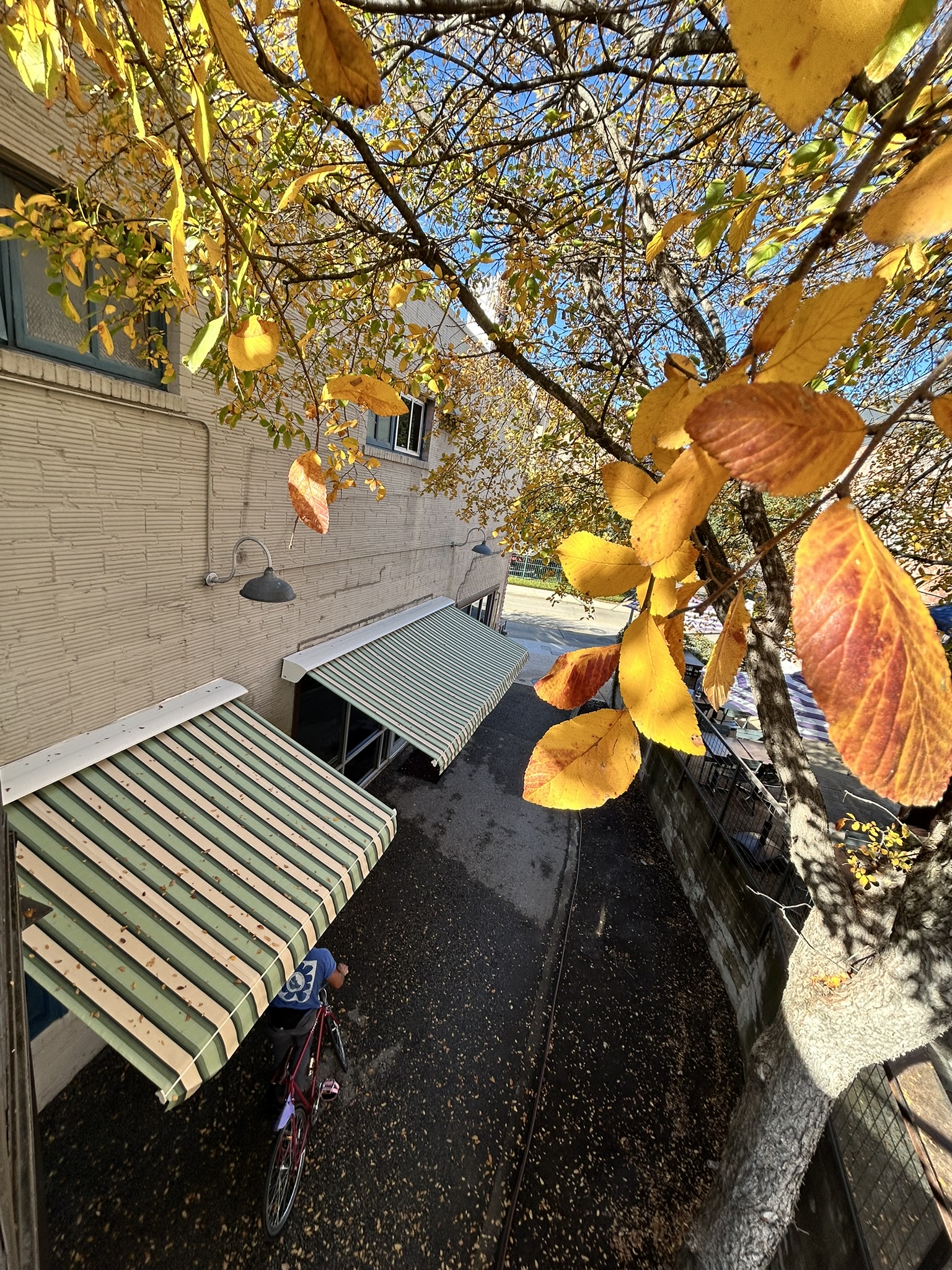 Patio Cover Project 3